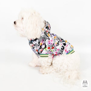 May include: A white dog wearing a hooded sweatshirt with a colorful print of animals and flowers. The sweatshirt has green and blue trim.