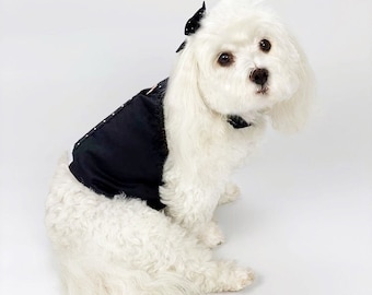 Luxury Black Dog Harness and Leash Set for Boy Puppy | Stylish Dog Owners Gift | Puppy Leash Bundle | Elegant Pet Accessories | Small Dog