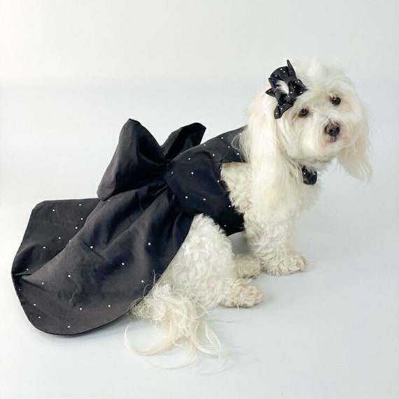 Black clearance dog outfit