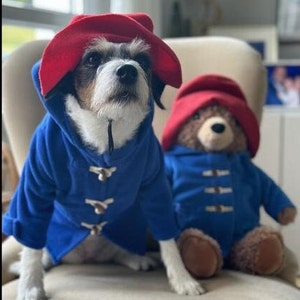 Miss Teddy customers model the Paddington Bear Outfit with a blue overcoat complete with white wooden toggles and a large oversized red hat just like Paddington.