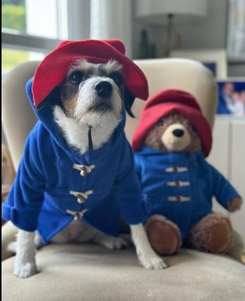 Miss Teddy customers model the Paddington Bear Outfit with a blue overcoat complete with white wooden toggles and a large oversized red hat just like Paddington.