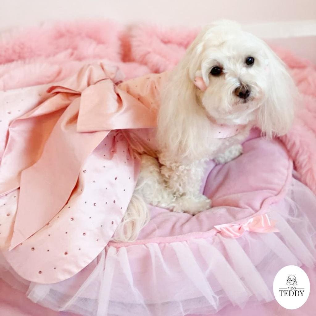 格安SALEスタート！ Luxury Pink Dog Harness Dress | Dog Wedding Outfit | Gift 犬服・アクセサリー
