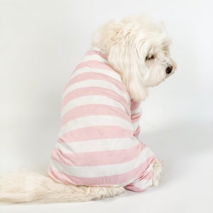 Miss Teddy sits down in the Pink & White Striped Onesie showing the back of the sweater.