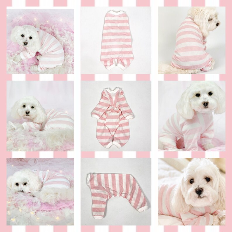 A collage of images show a selection of the pink and white images being modelled on Miss Teddy and also as flatlays.