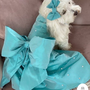 Miss Teddy models the blue tiffannee dress with swarovski crystals, an oversized bow and two matching hair bows sitting on the brown settee.