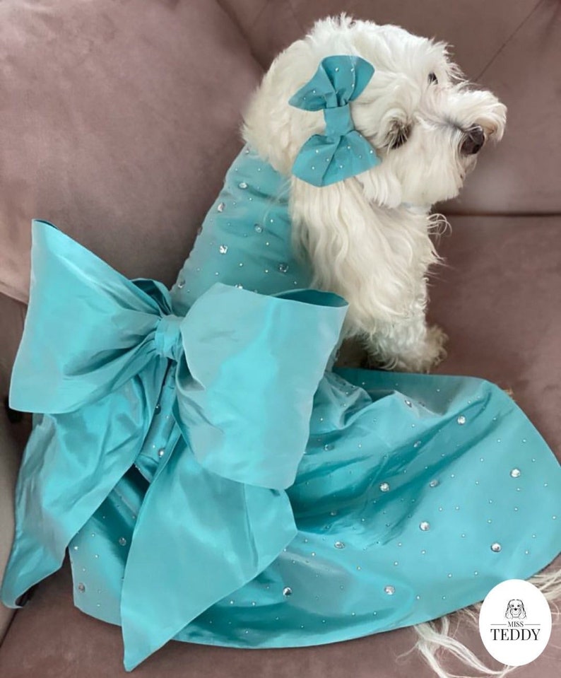 Miss Teddy models the blue tiffannee dress with swarovski crystals, an oversized bow and two matching hair bows sitting on the brown settee.