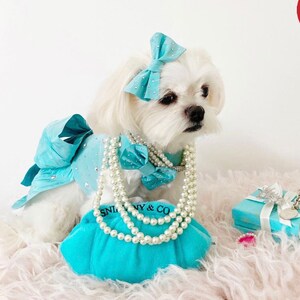 Miss Teddy models the blue tiffannee dress with swarovski crystals, an oversized bow and two matching hair bows.