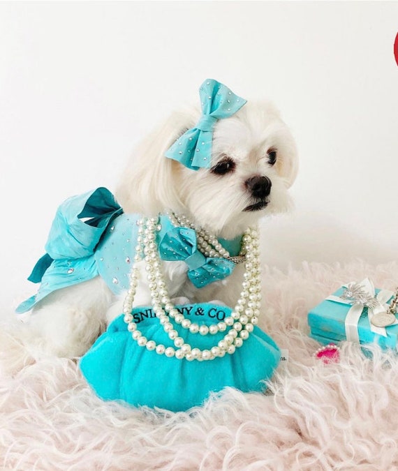 luxury dog clothing