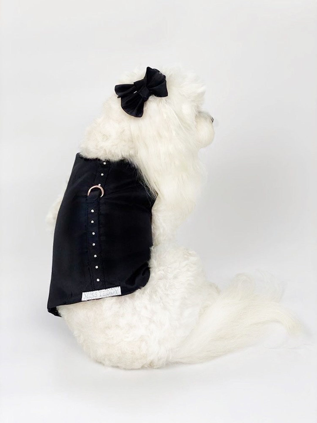 Black Boy Dog Harness and Leash Set for Boy Puppy Dog Etsy