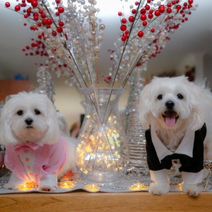 Small Dog Tuxedo for Wedding Attire | Pink Tuxedo for Dogs | Dog of the bride | Dog Wedding Suit | wedding attire for pets | dog owner
