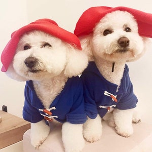 Miss Teddy customers model the Paddington Bear Outfit with a blue overcoat complete with white wooden toggles and a large oversized red hat just like Paddington.