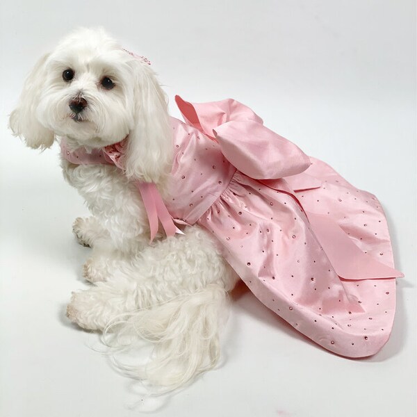 Bridesmaid Dog Dress Etsy