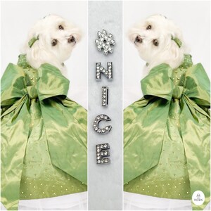 May include: A white dog wearing a green dress with a large bow. The dog is looking to the right. The word "NICE" is spelled out in rhinestones on the right side of the image.