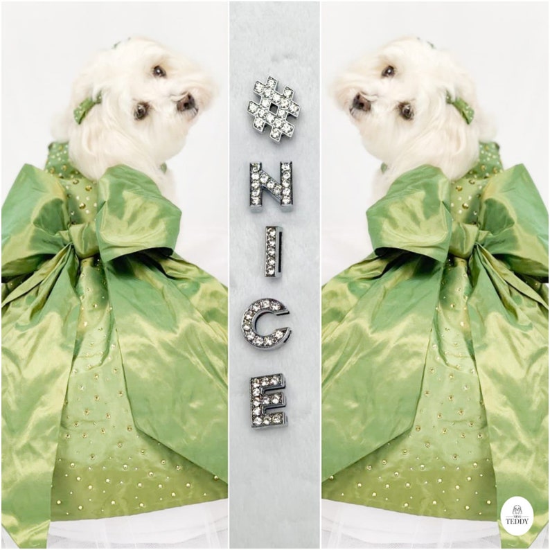 May include: A white dog wearing a green dress with a large bow. The dog is looking to the right. The word "NICE" is spelled out in rhinestones on the right side of the image.