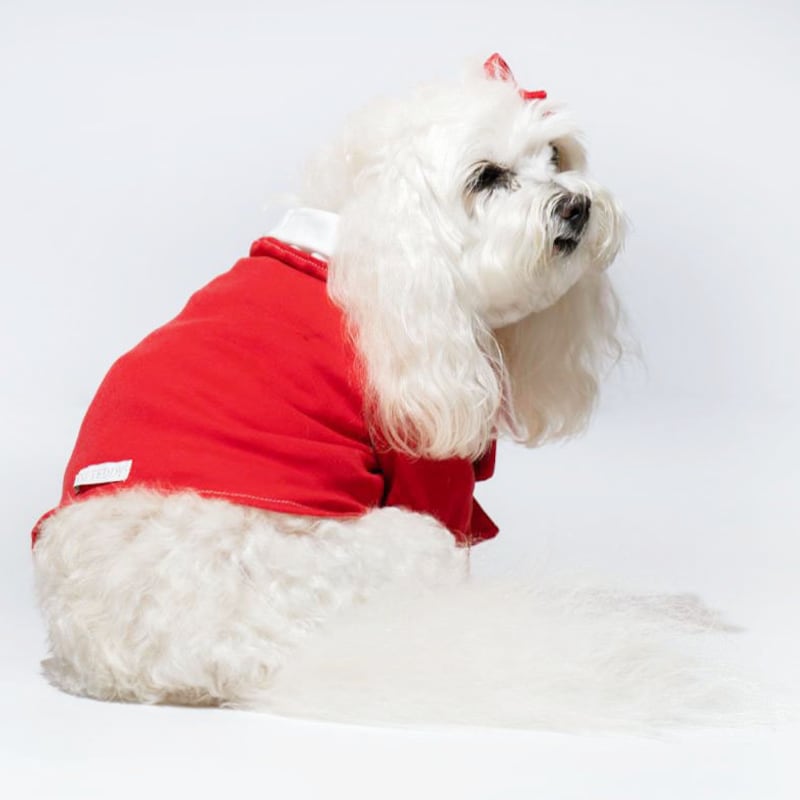 Dog Tuxedo Shirt