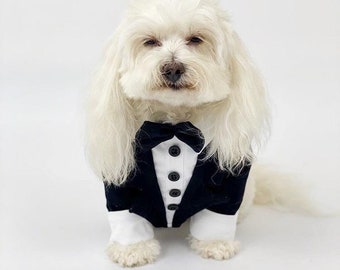 Black Dinner Suit Sweater for Dog | Formal Wedding Pet Attire | Small Dog Clothes | Dog Outfit Costume