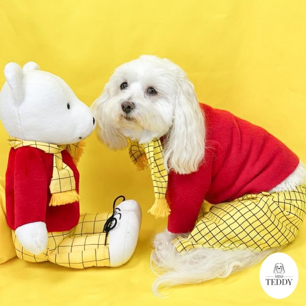 Rupert the Bear Hunde Outfit | | Rupert der Bär Geschenke | Rupert Bärenkostüm | Kleine Hundekostüm | Haustiergeschenke für Hunde