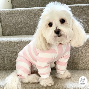 Miss Teddy sits down in the Pink & White Striped Onesie with White Cuffs on the steps.
