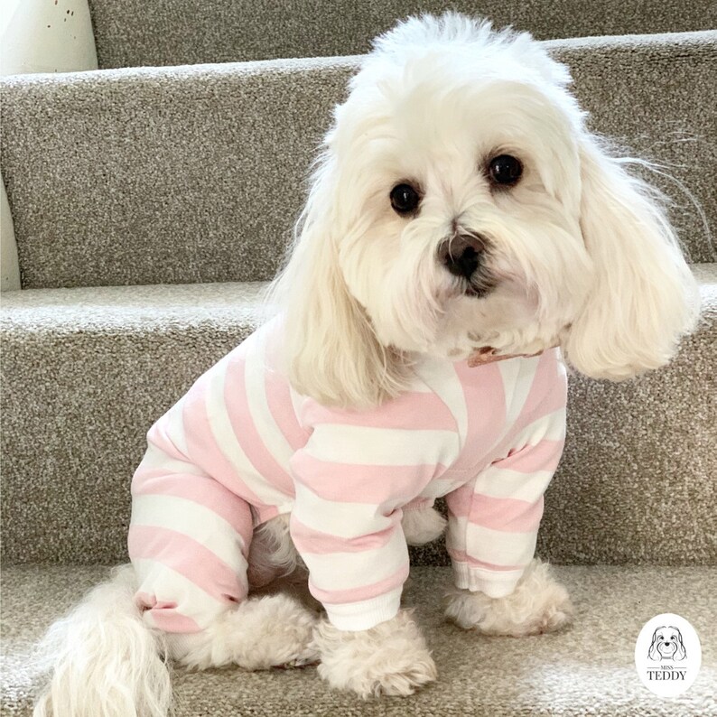 Miss Teddy sits down in the Pink & White Striped Onesie with White Cuffs on the steps.