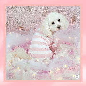 Miss Teddy sits down in the Pink & White Striped Onesie showing the back of the sweater.