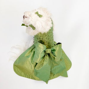 May include: A white dog wearing a green, sequined dress with a large green bow. The dress has a fitted bodice and a full skirt.