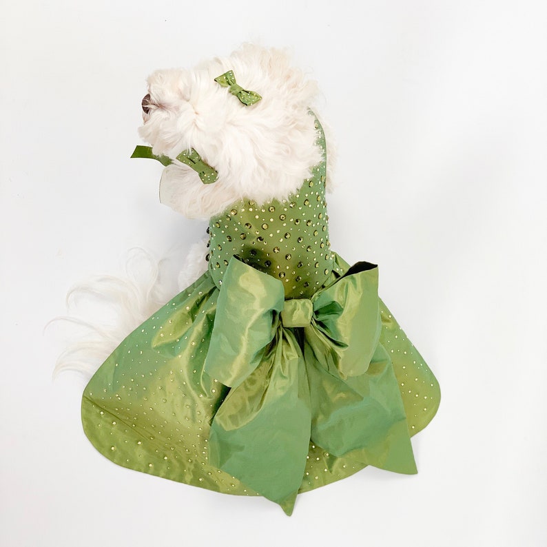 May include: A white dog wearing a green, sequined dress with a large green bow. The dress has a fitted bodice and a full skirt.