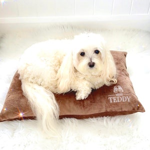 May include: A white dog with long fur is lying on a brown plush dog bed. The bed has the words "Miss Teddy" embroidered on it.