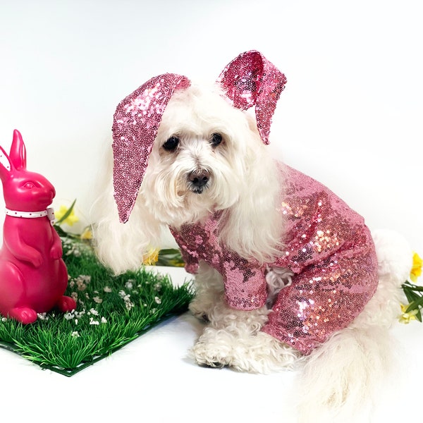 Traje de traje de Pascua de perro conejito / traje de conejito para perro / traje de conejito de lentejuelas / vestido elegante para perro