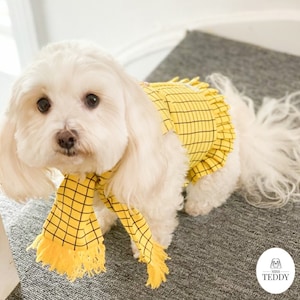 Puede incluir: Un pequeño perro blanco con un vestido amarillo y negro a cuadros con una bufanda a juego. El perro está de pie sobre una alfombra gris.