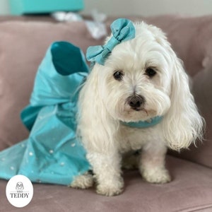 Miss Teddy Clothing Size guide shows how to measure your dog for custom sized clothing