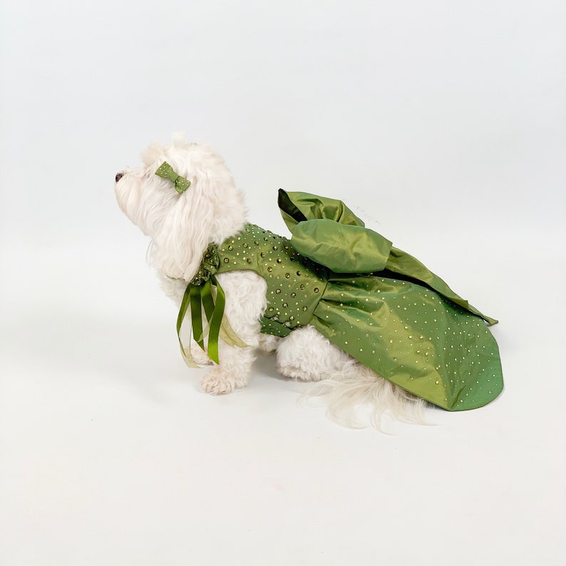 May include: A white dog wearing a green sequined dress with a bow. The dress has a long train and is decorated with small, sparkly embellishments.