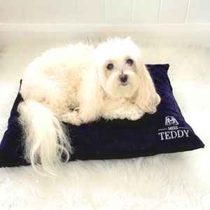 May include: A white dog with long fur is lying on a dark blue velvet pet bed. The bed has white embroidery that says "Miss Teddy".