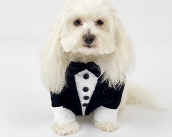 Black Dog Tuxedo | Small Dog Suit | Puppy Clothes | Dog wedding attire | Dachshund clothes | Dog harness tux | chihuahua