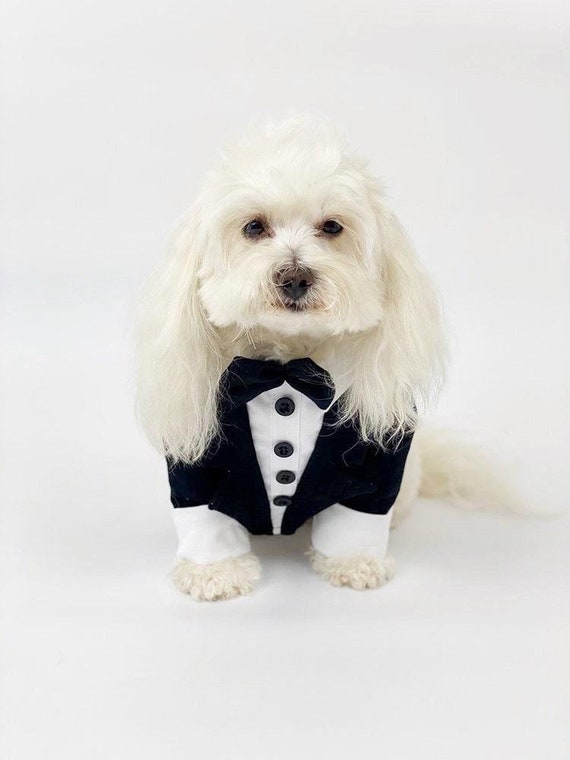 Etsy dog tuxedo cheap