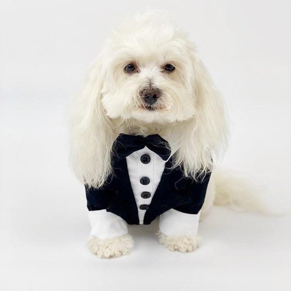 Smoking chien noir | Costume pour petit chien | Vêtements pour chiots | Tenue de mariage pour chien | Vêtements teckel | Smoking harnais pour chien | chihuahua