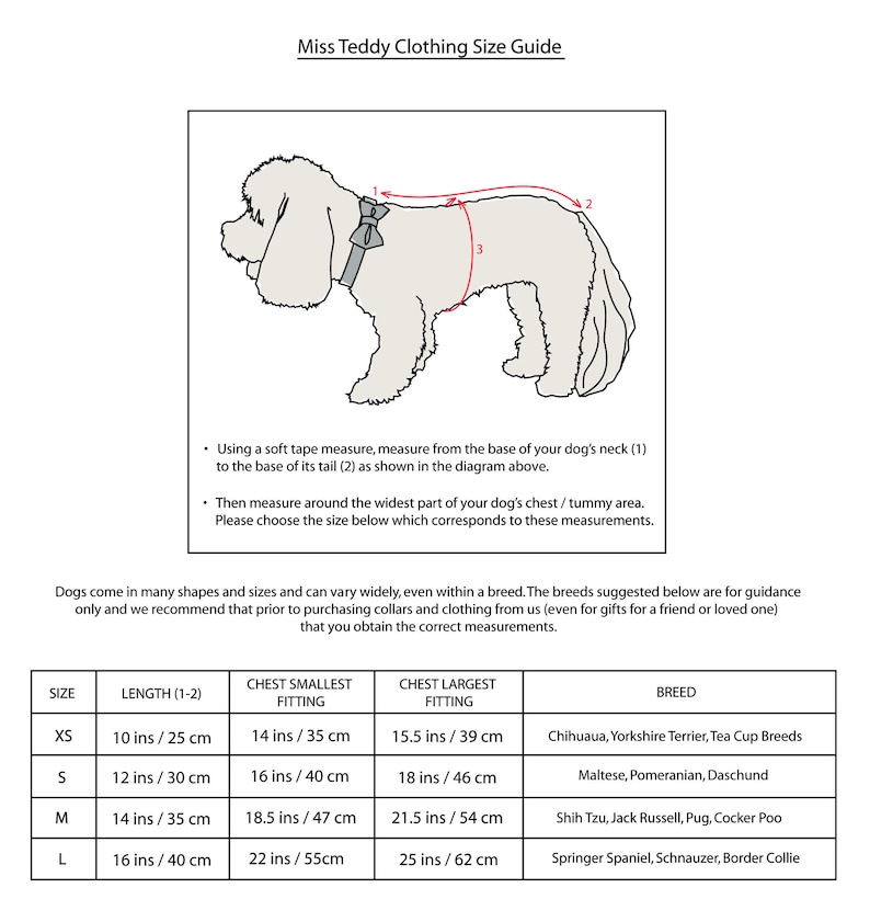 Miss Teddy Clothing Size guide shows how to measure your dog for custom sized clothing