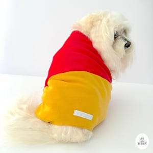 May include: A white dog wearing a red and yellow dog sweater with the text "Mini Teddy" on the front.