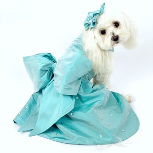 Miss Teddy models the blue tiffannee dress with swarovski crystals, an oversized bow and two matching hair bows.