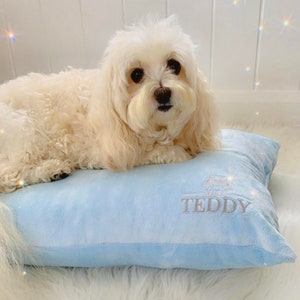 May include: A white fluffy dog laying on a light blue plush pet bed with the name "Teddy" embroidered on it.