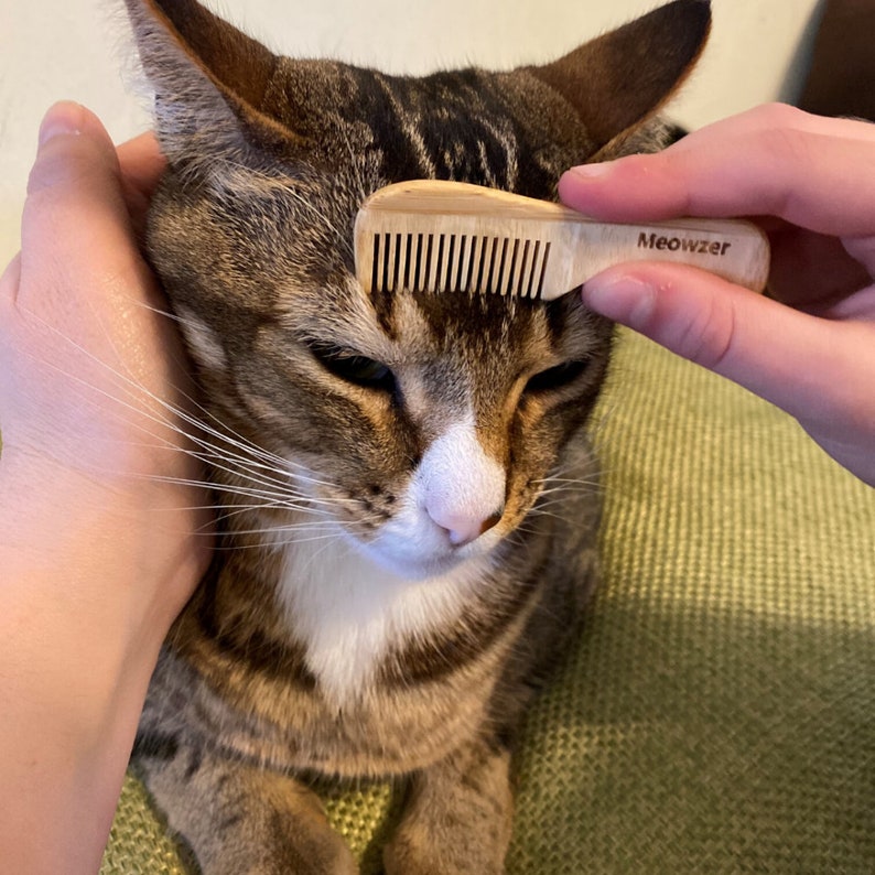 Cat grooming comb Cat face grooming comb Cat hair comb made Etsy