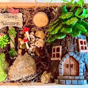 Pode incluir: Uma cena de jardim de fadas em miniatura com uma placa de madeira que diz "Fairies Welcome", uma pequena casa na &aacute;rvore com uma porta e janelas, uma suculenta verde e uma pequena pilha de pedras.