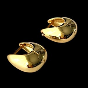 925 Sterling Silver 18k Gold Plated Shape Hoop  Earrings, 18K Gold Vermeil Hoop Earrings, Thick Hoop Earrings, Beast Gifts for Women, Girl