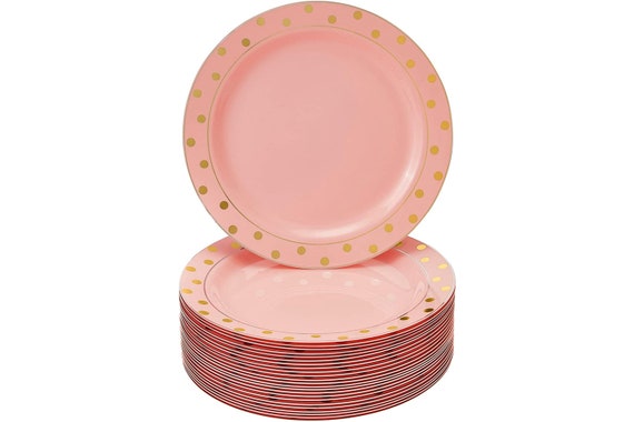 Elegant Disposable Plates for Party 24 Pc Fine Plastic Dishes for