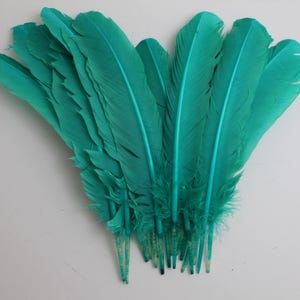 Teal Turkey Quill Feathers (10-12 Inch) - 20 Pcs Craft Costume