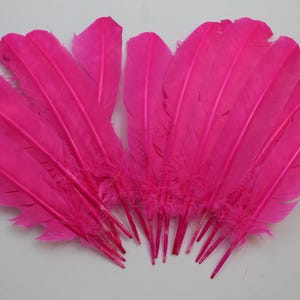 Candy Pink Turkey Quill Feathers 10-12 inch: Craft Costume, Arts (20 pcs)