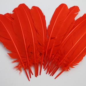Orange Color 10-12 inch Turkey Quill Feathers 20 pcs, Primary Wing Quill Large Feathers Craft Costume