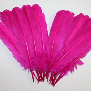 Hot Pink Turkey Quill Feathers (10-12 inch) - 20 Pcs Craft Costume