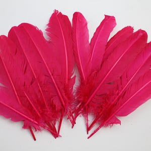 Flamingo Color 10-12 inch Turkey Quill Feathers 20 pcs, Primary Wing Quill Large Feathers Craft Costume