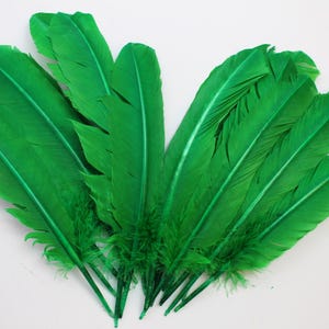 Green Turkey Quill Feathers 10-12 inch: Craft Costume, Arts (20 pcs)