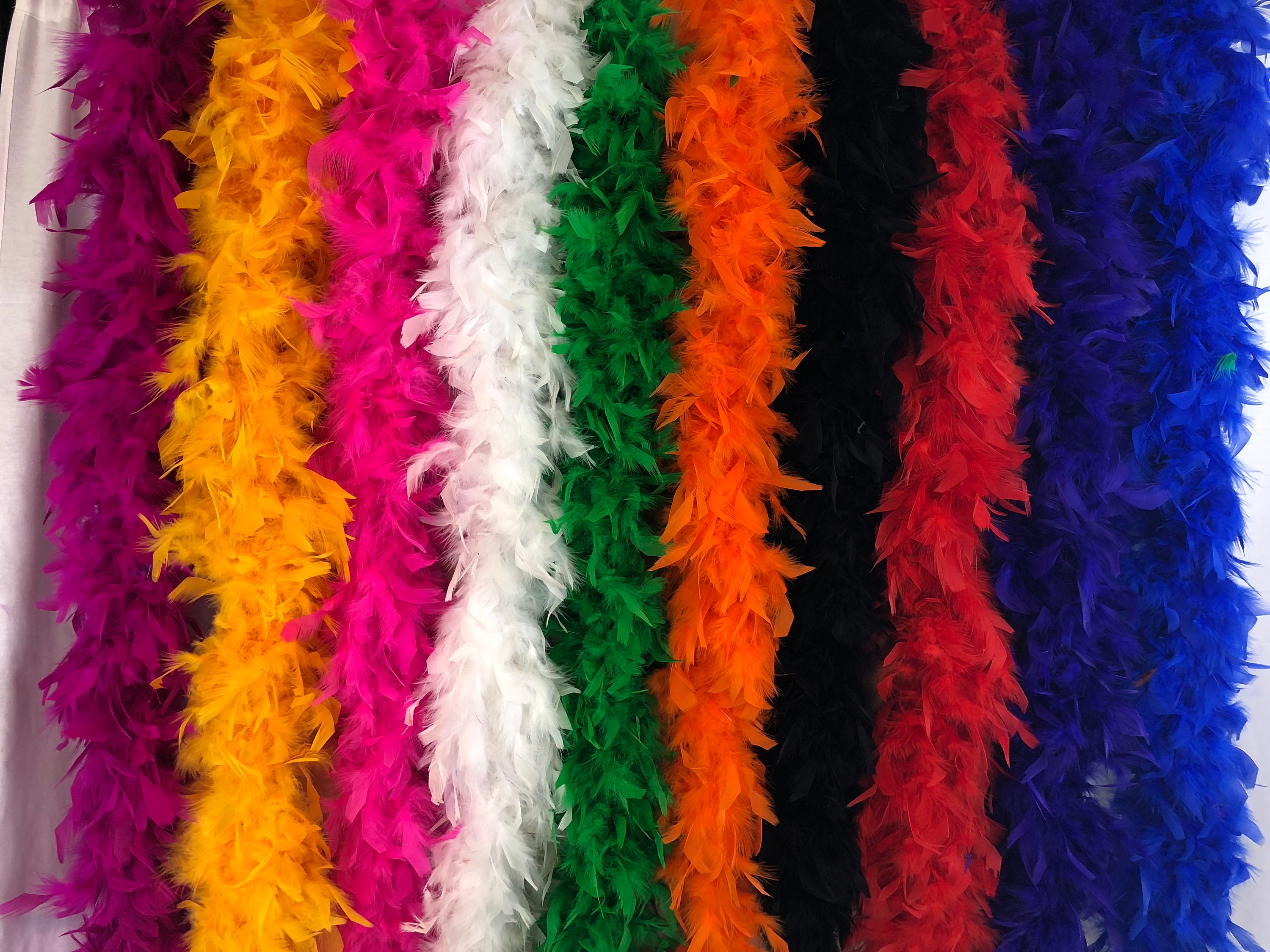  Colored Feather Boas for Party Bulk 9 Pcs Boas and 9